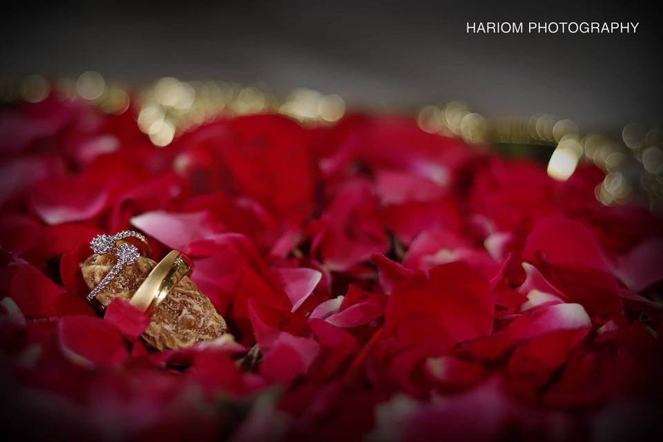The Hariom Photography