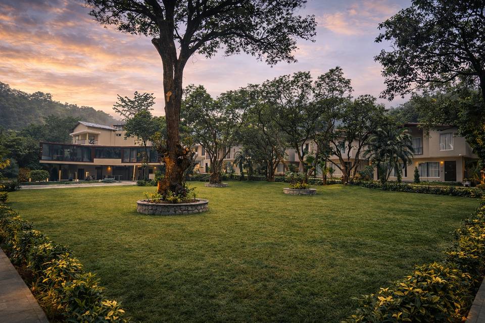 Lawn area
