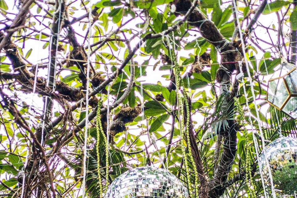 Tree decor