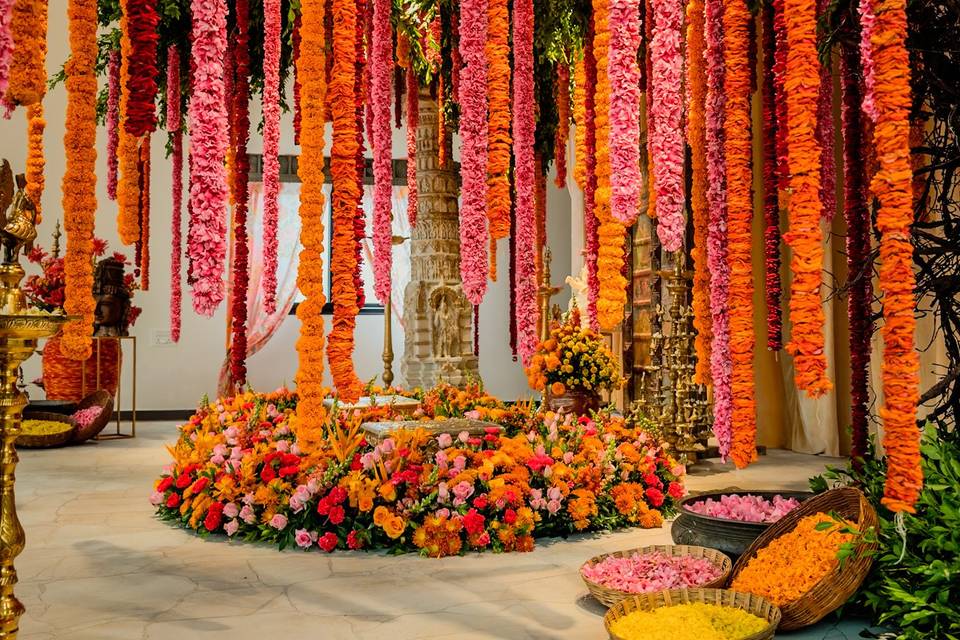 Haldi