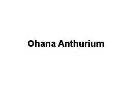 Ohana Anthurium Logo