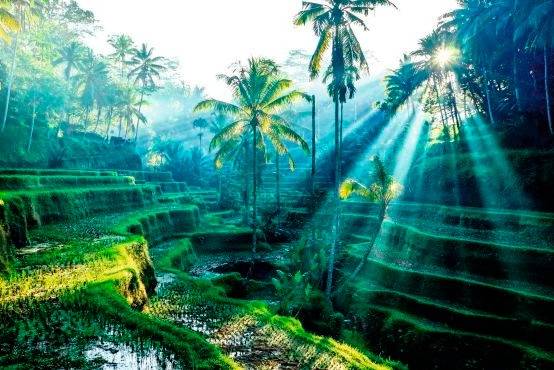 Image of Palakkad fort is also known as Tipu Sultan Fort-NG180520-Picxy