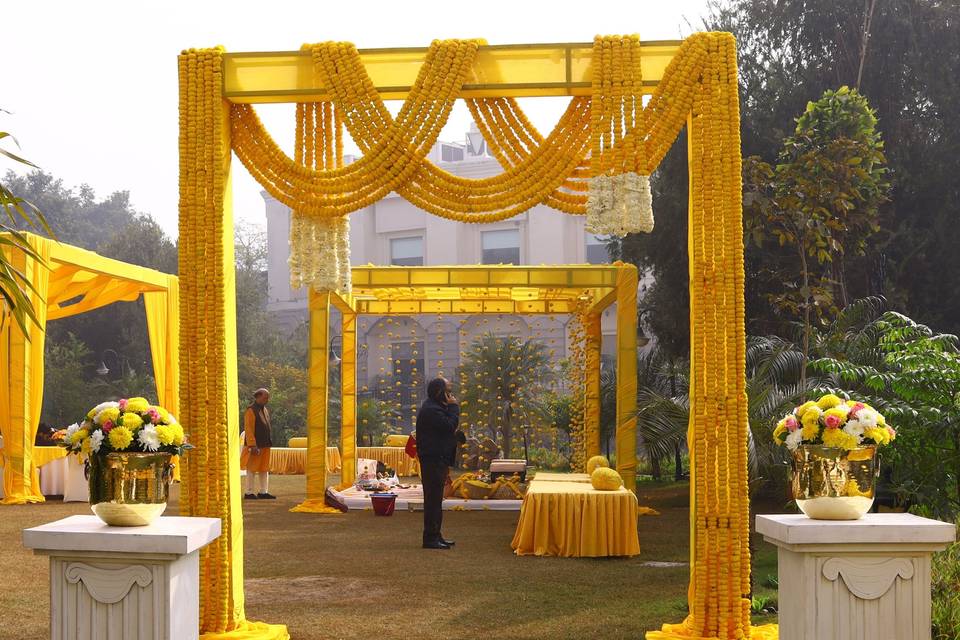 Haldi Decor Highlights