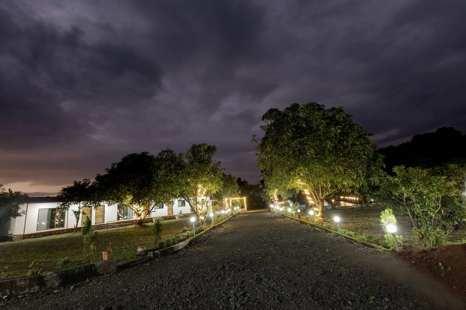 Lawn area
