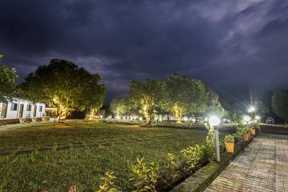 Lawn area