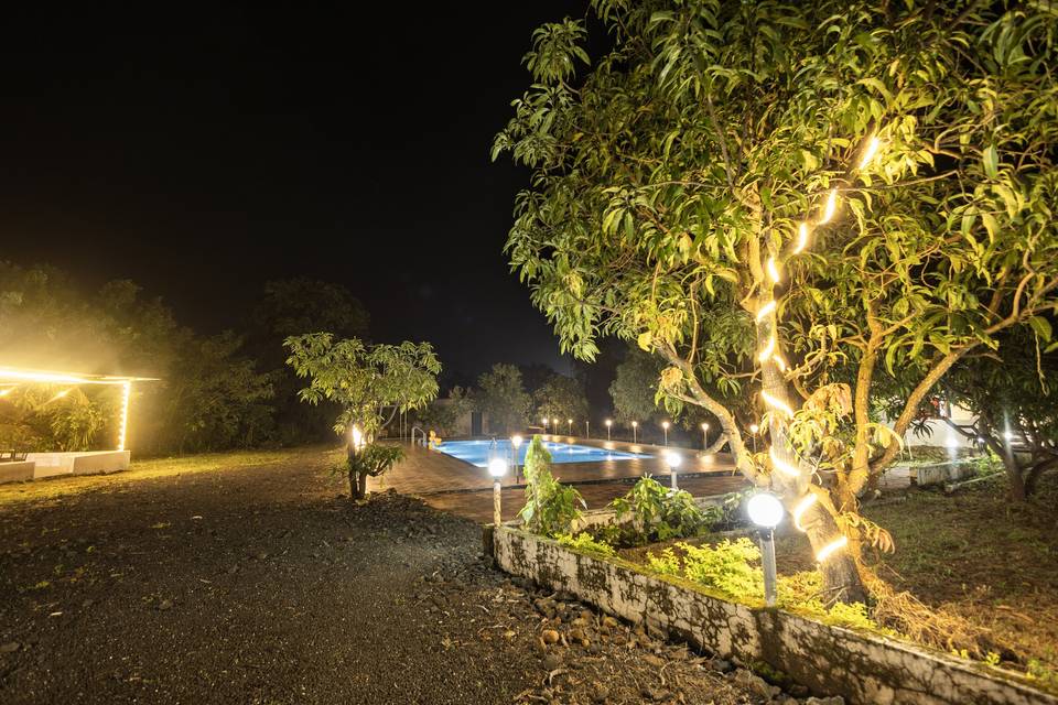 Night View