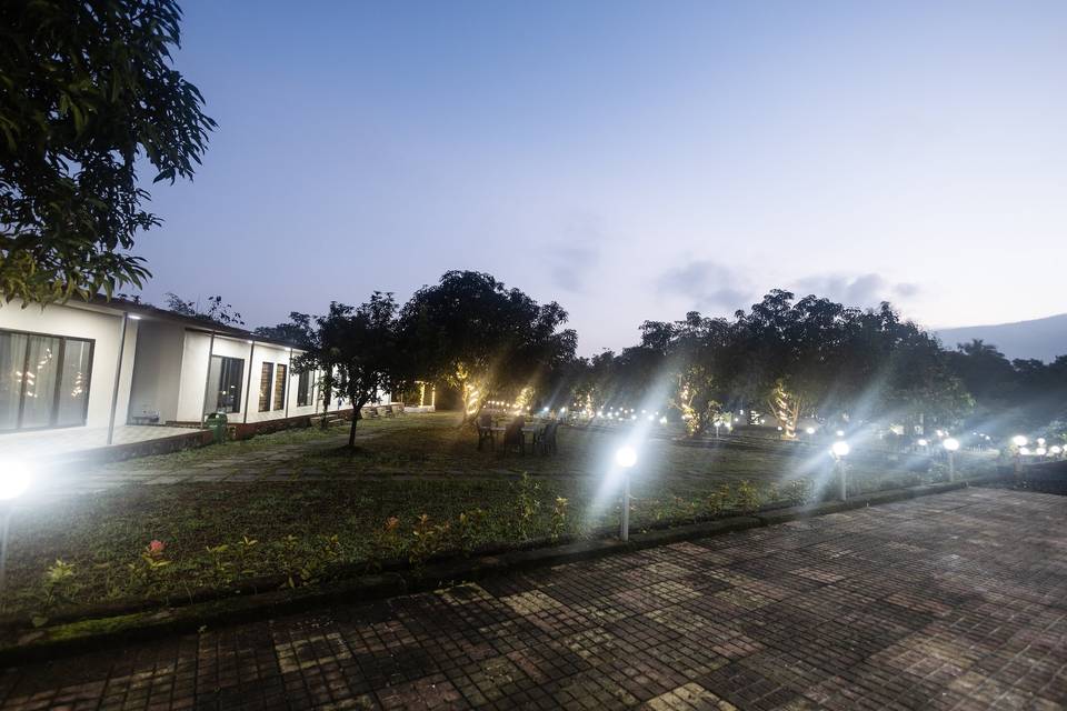 Lawn area