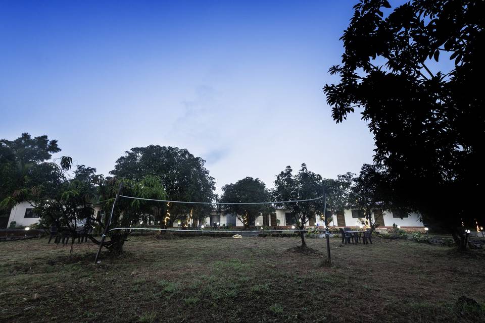 Lawn area