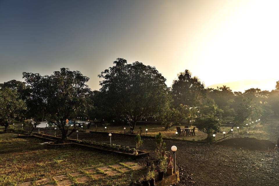 Lawn area