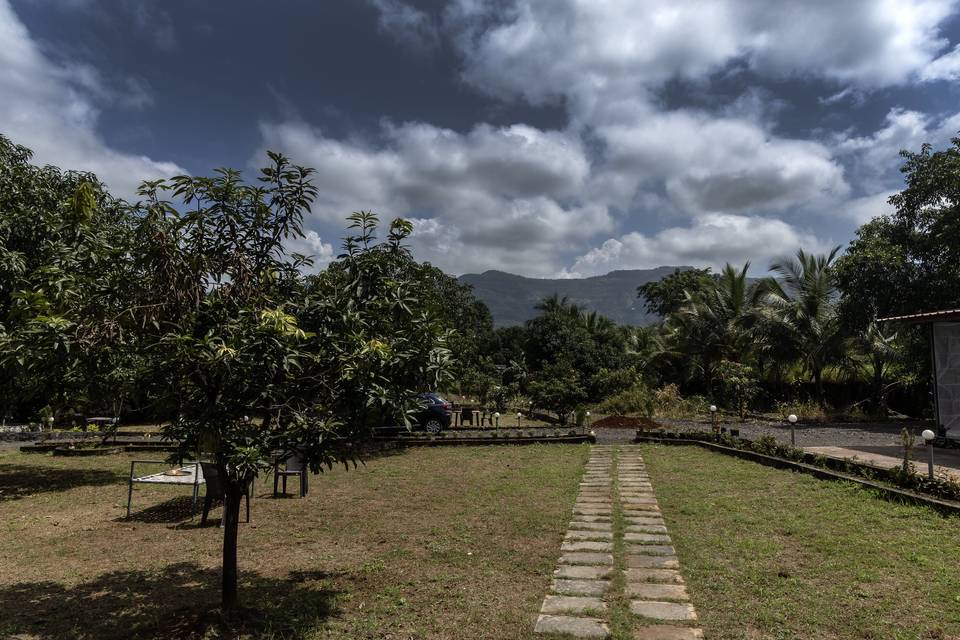 Lawn Area