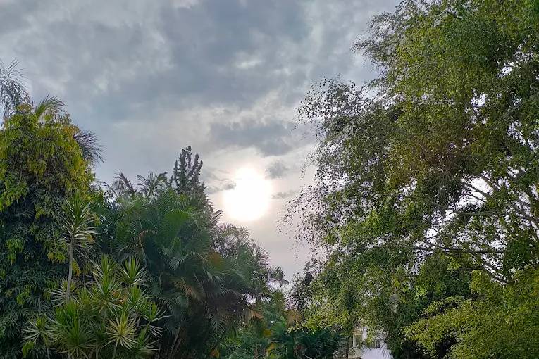Lawn area