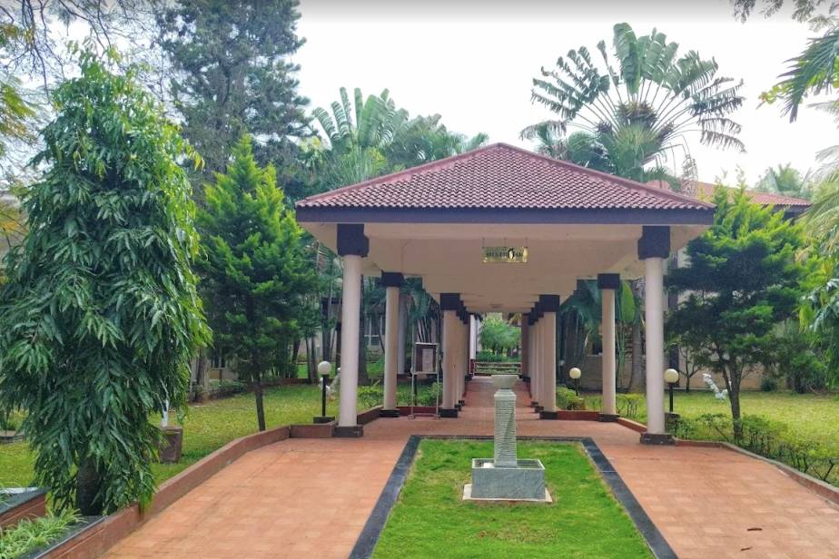 Lawn area