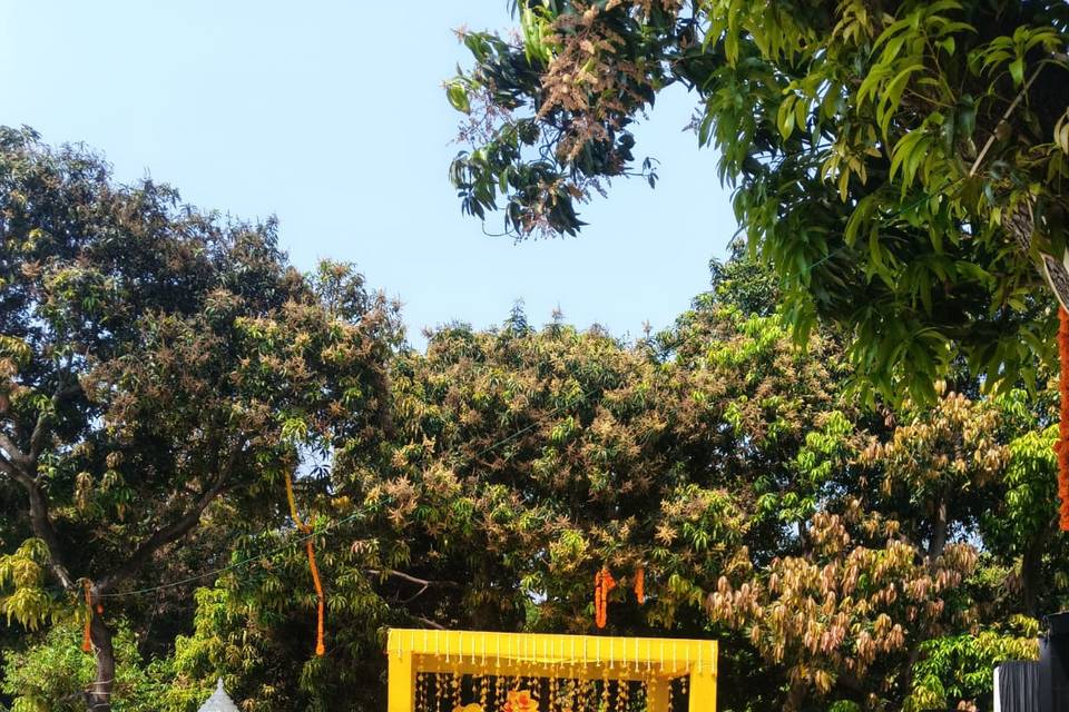 Haldi decor