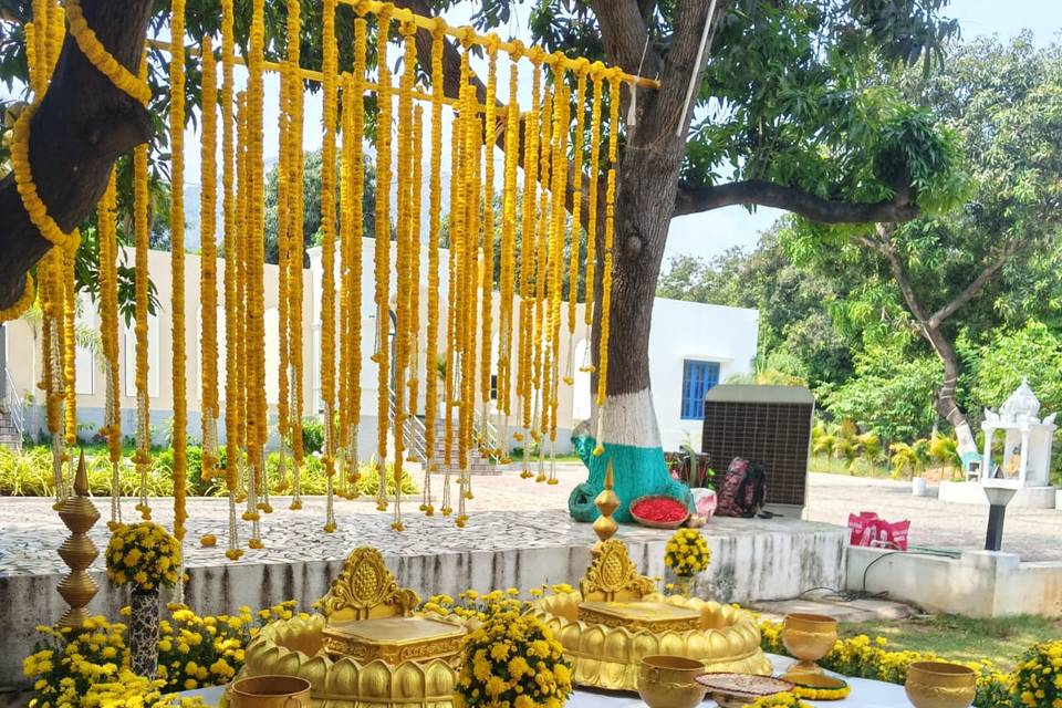 Haldi decor