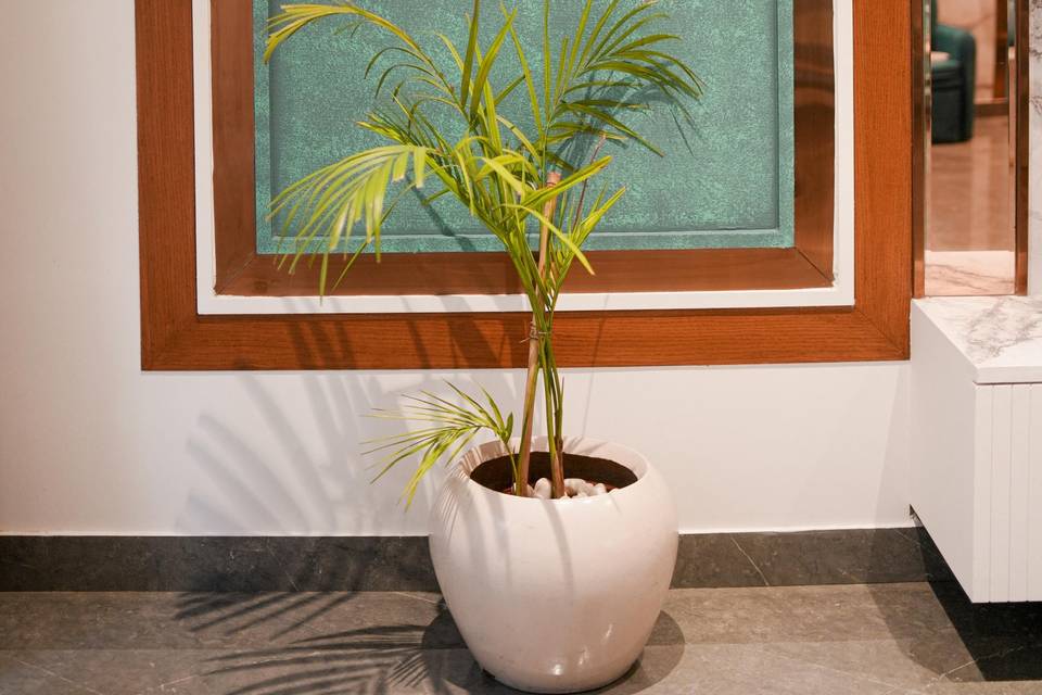 Fortune Park Orange, Gurgaon