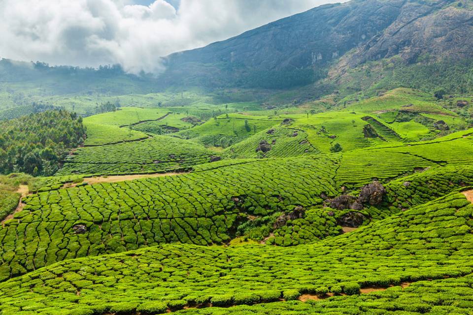 munnar