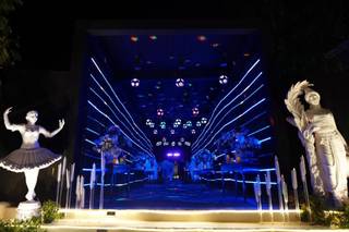Weddings by Akash