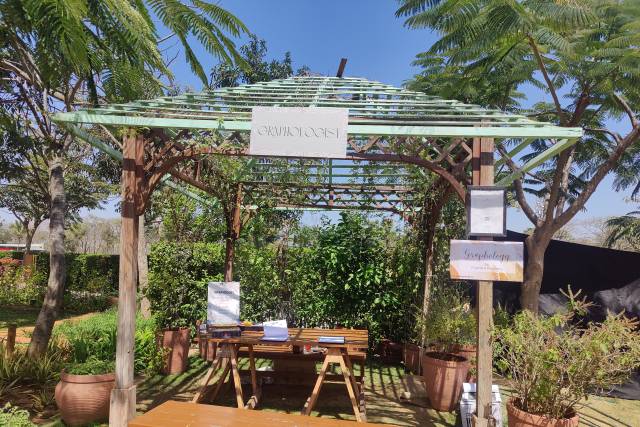 Wedding entertainment