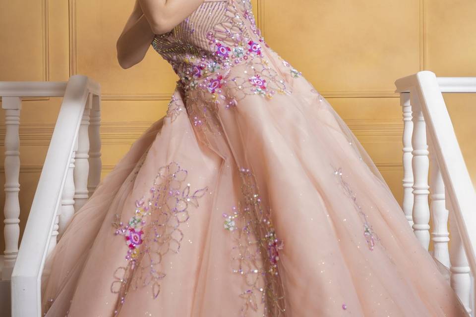 Salmon Pink Gown