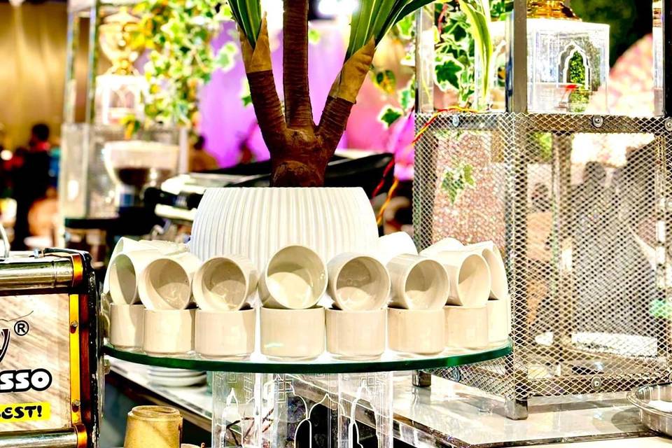 Lucknowala Wedding Planner portfolio
