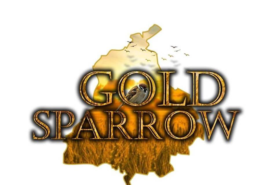 Gold Sparrow Photography