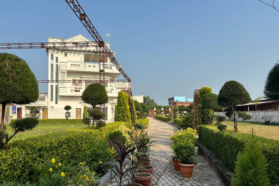 Lawn area