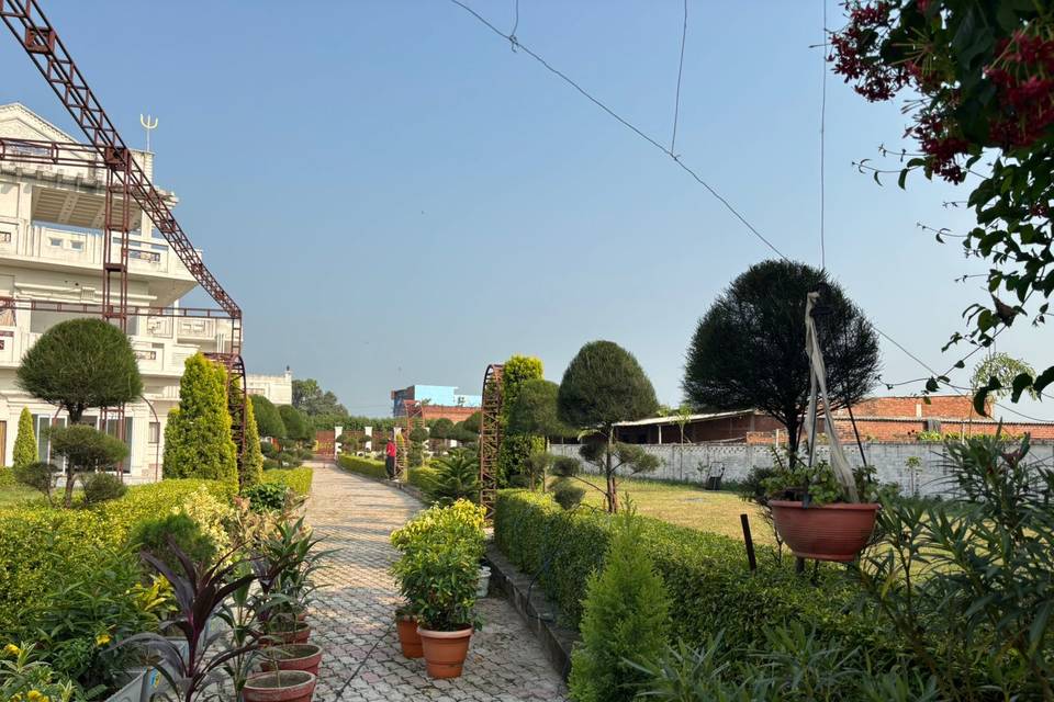 Lawn area