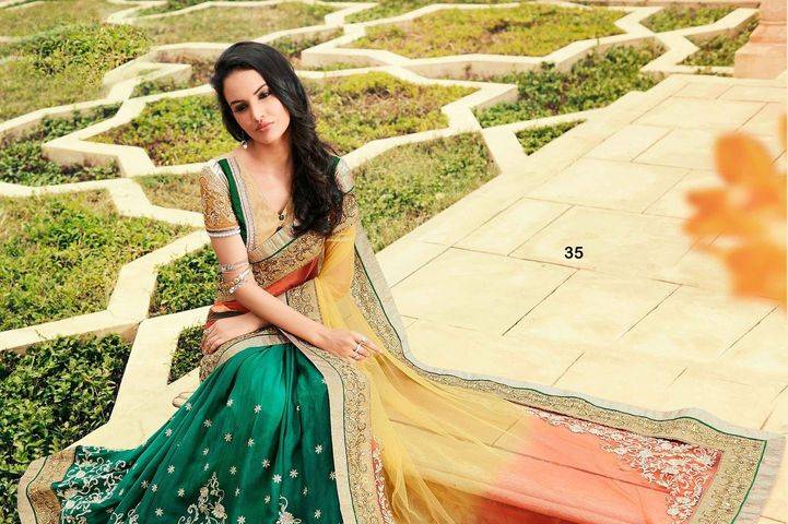 Designer saree