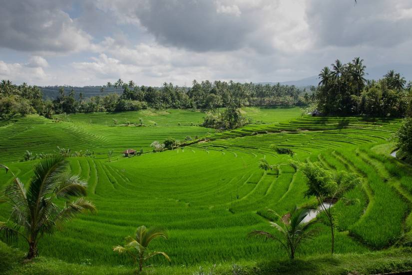 Bali Indonesia