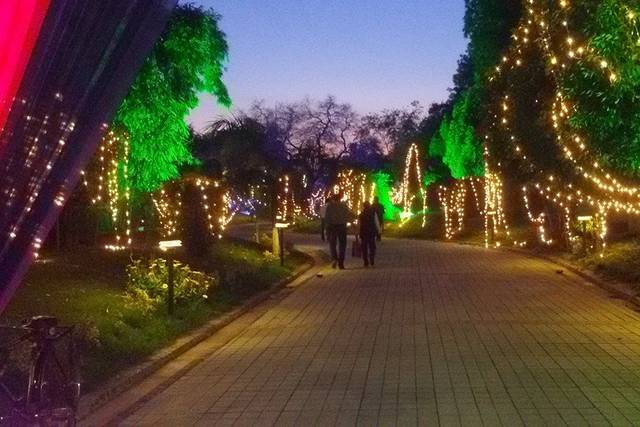 Style & Supper Wedding & Event Planners