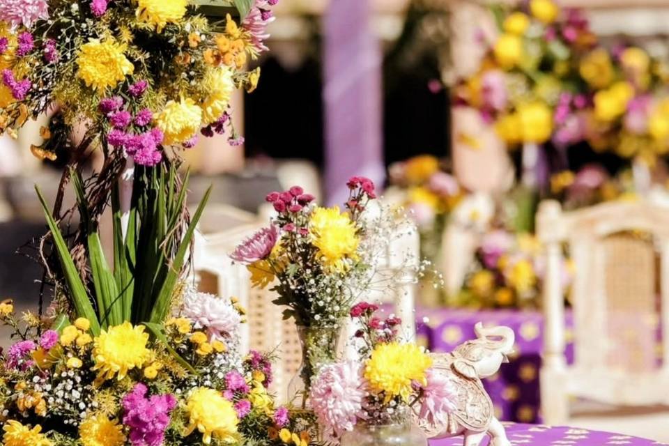 Haldi a