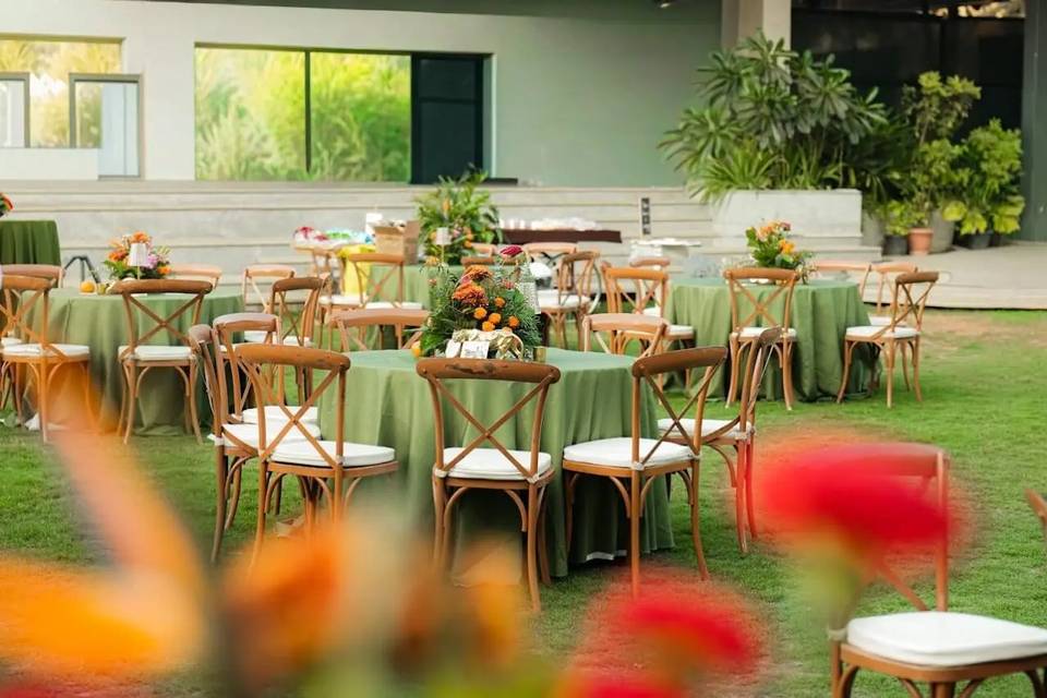 Lawn area