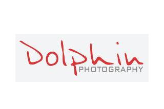 Dolphin Photography