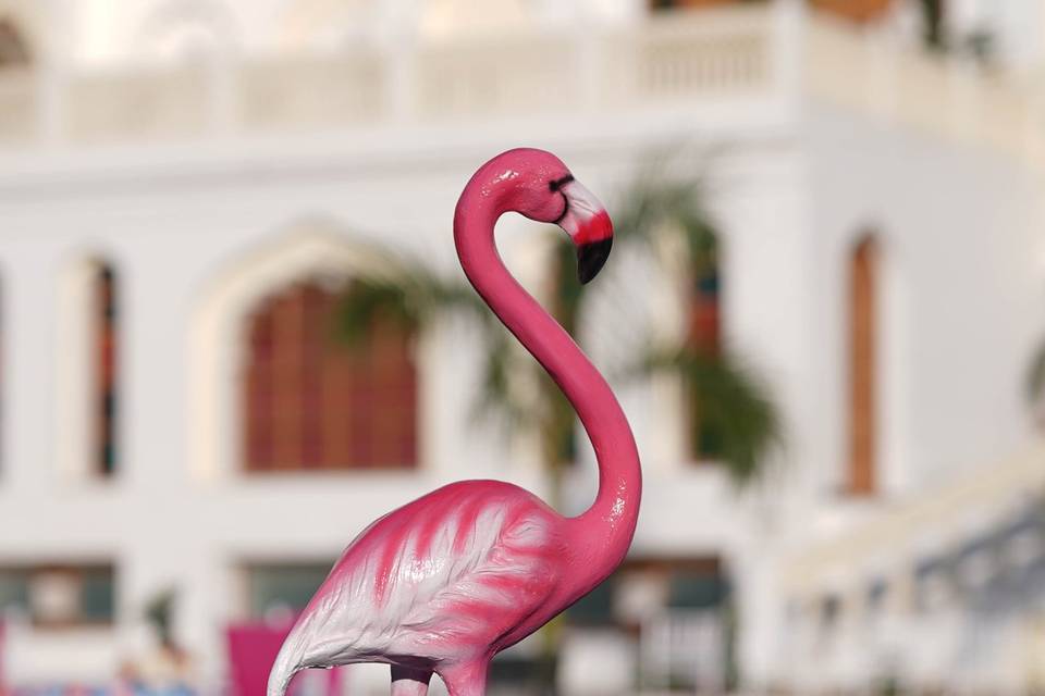 Flamingo theme