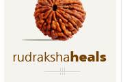 Rudraksha Heals