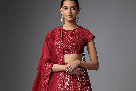 Red Organza Hand Embroidered L