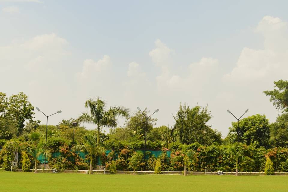 Lawn area