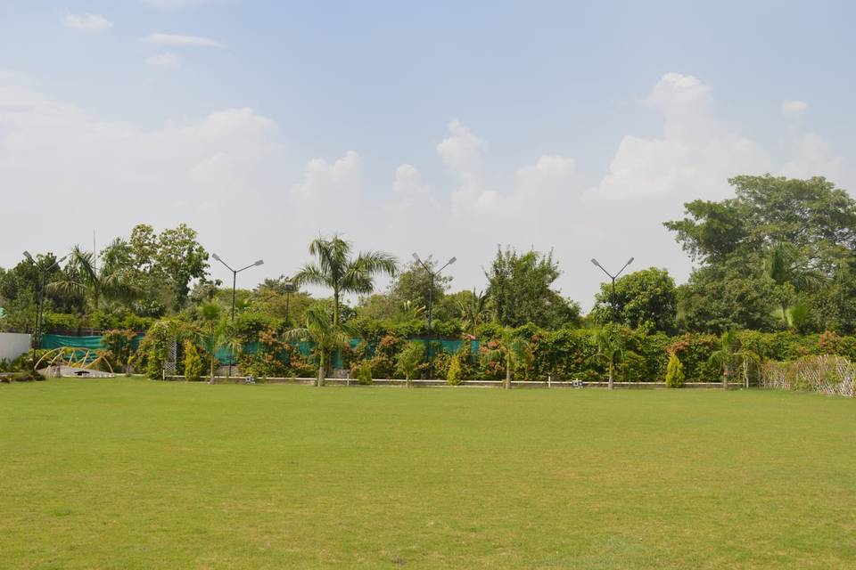 Lawn area