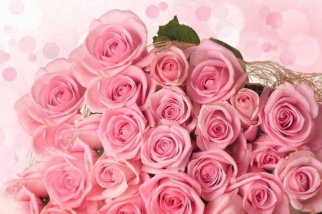 Online Flower Delivery in Kolkata in 2 hour | Send Flowers bouquet ||  Flowera.in