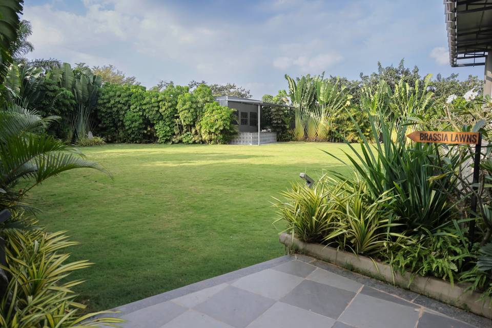 Lawn area