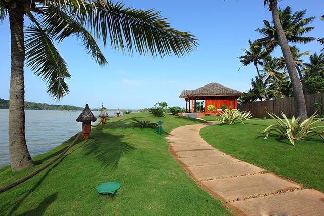 Lawn Area