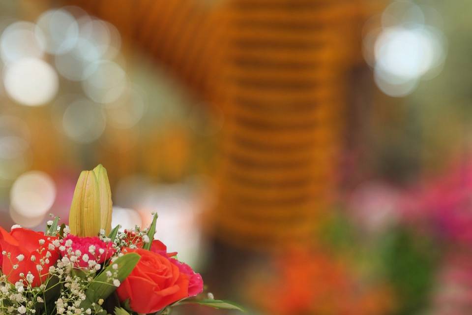 Imagine Weddings portfolio