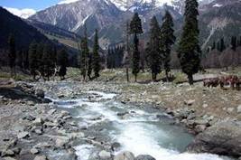 Rashmi Travels