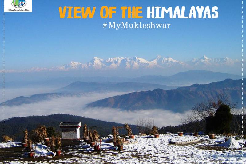 Himalayan View
