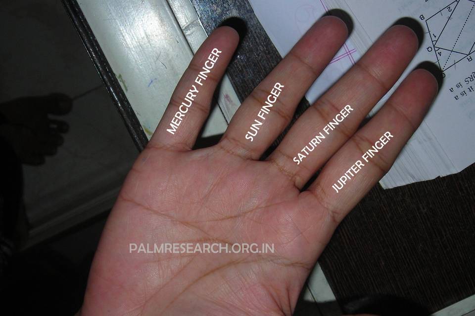 Indian Palmistry by Vijaysaradha, Sanpada East