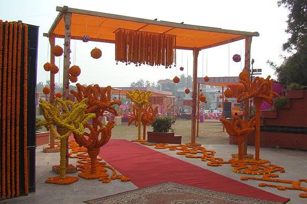 Fancy Decor, Gandhinagar