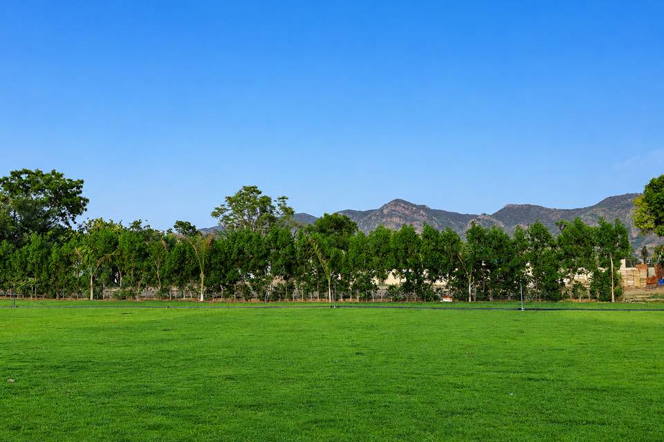 Wedding lawn