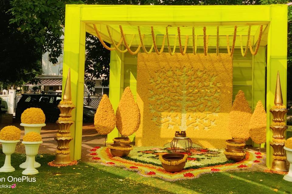 Haldi setup