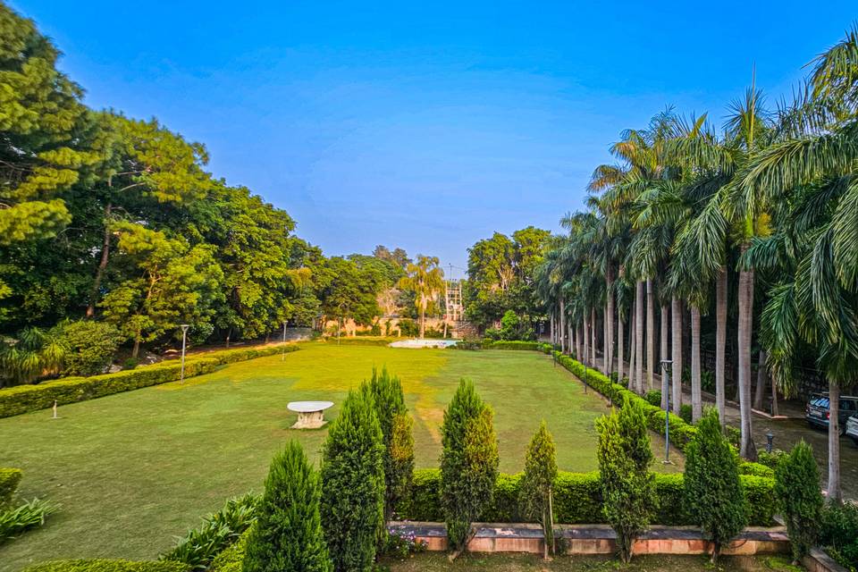 Lawn area