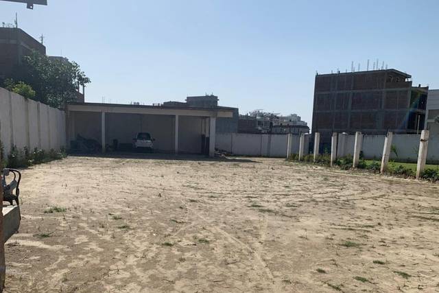 Lawn area